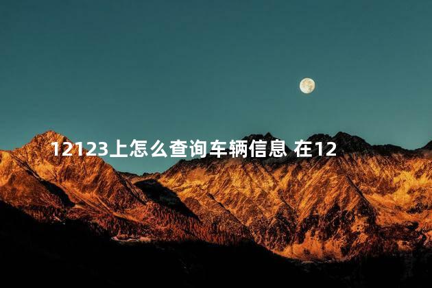 12123上怎么查询车辆信息 在12123上怎么查汽车国几排放